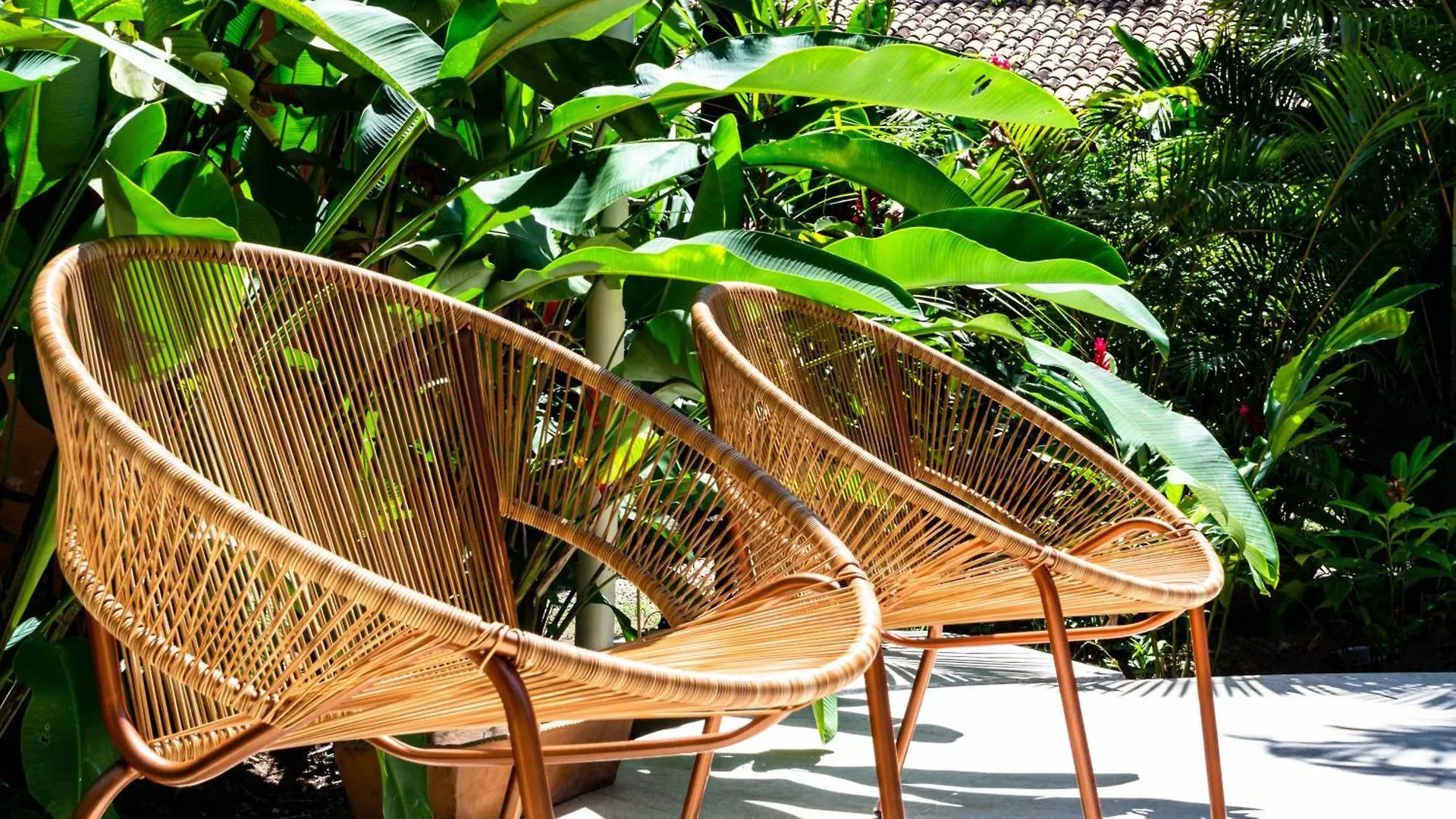 Casas Natureza Brasil Porto Seguro Brasile